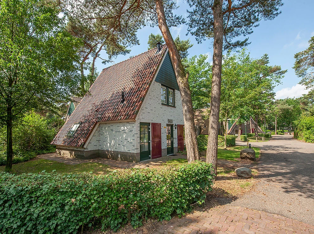 Roompot De Katjeskelder