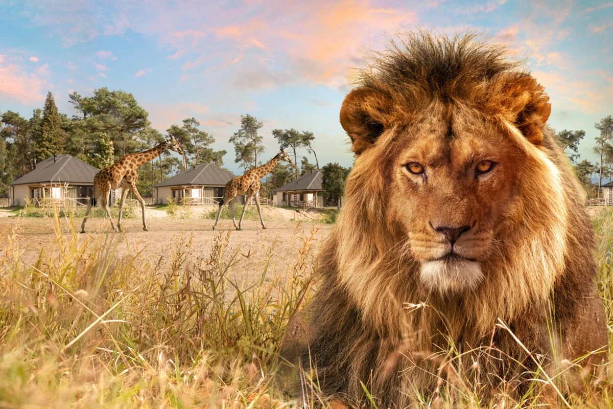 Safari Resort Beekse Bergen